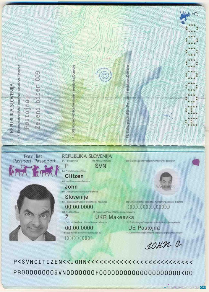 Angola LNG proof of address utility bill template in Word and PDF format